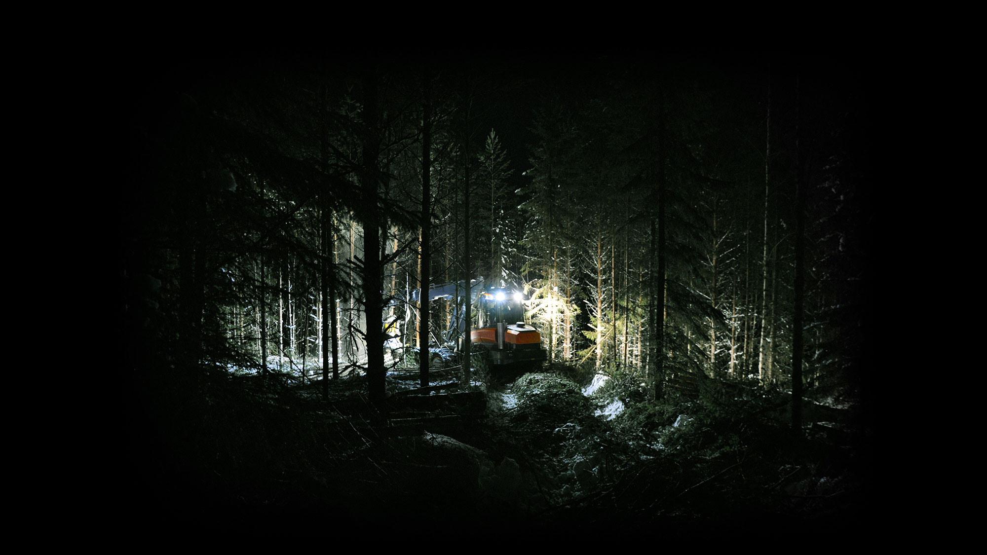 Test winning best forestry light